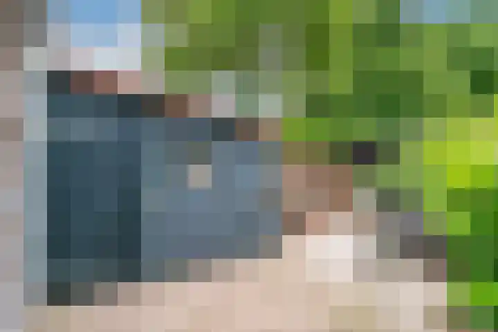 Woeziksestraat 338 A Wijchen thumbnail 52