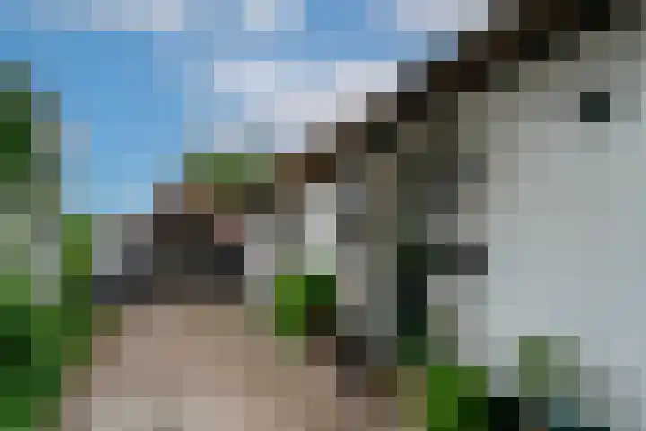 Woeziksestraat 338 A Wijchen thumbnail 59