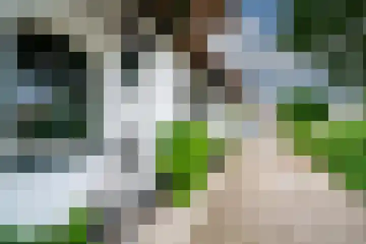 Woeziksestraat 338 A Wijchen thumbnail 60