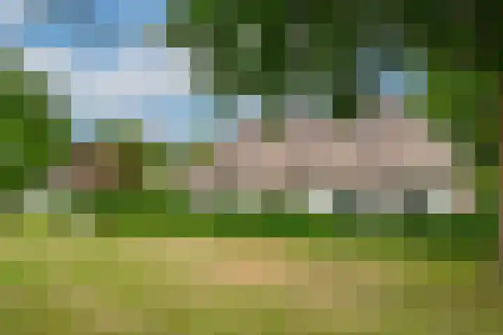 Woeziksestraat 338 A Wijchen thumbnail 62