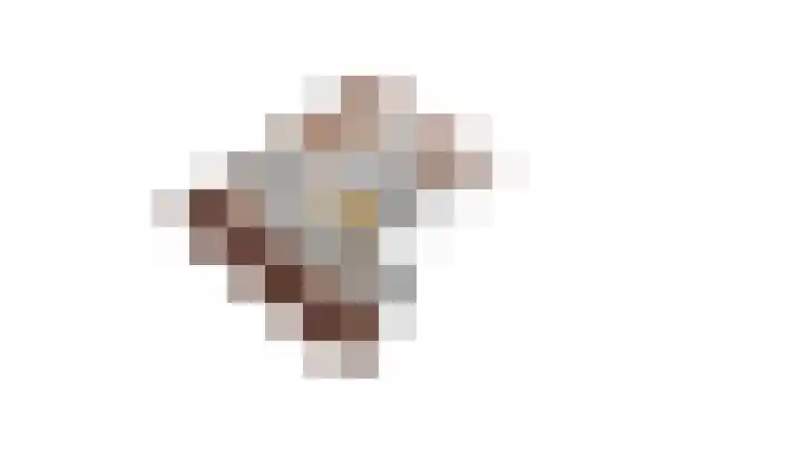 Woeziksestraat 338 A Wijchen thumbnail 68