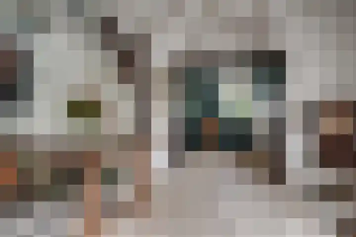 Woeziksestraat 338 A Wijchen thumbnail 7