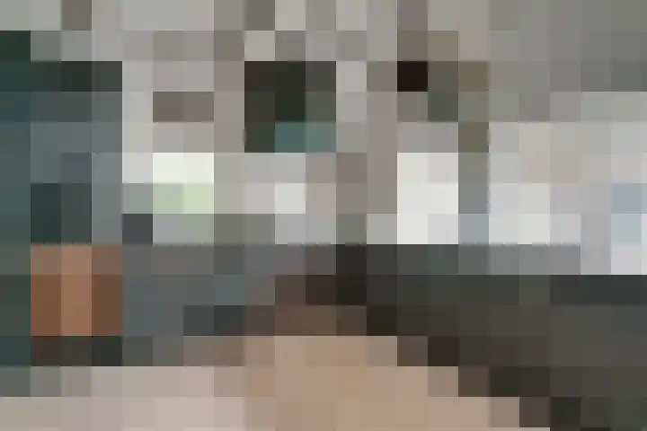 Woeziksestraat 338 A Wijchen thumbnail 9