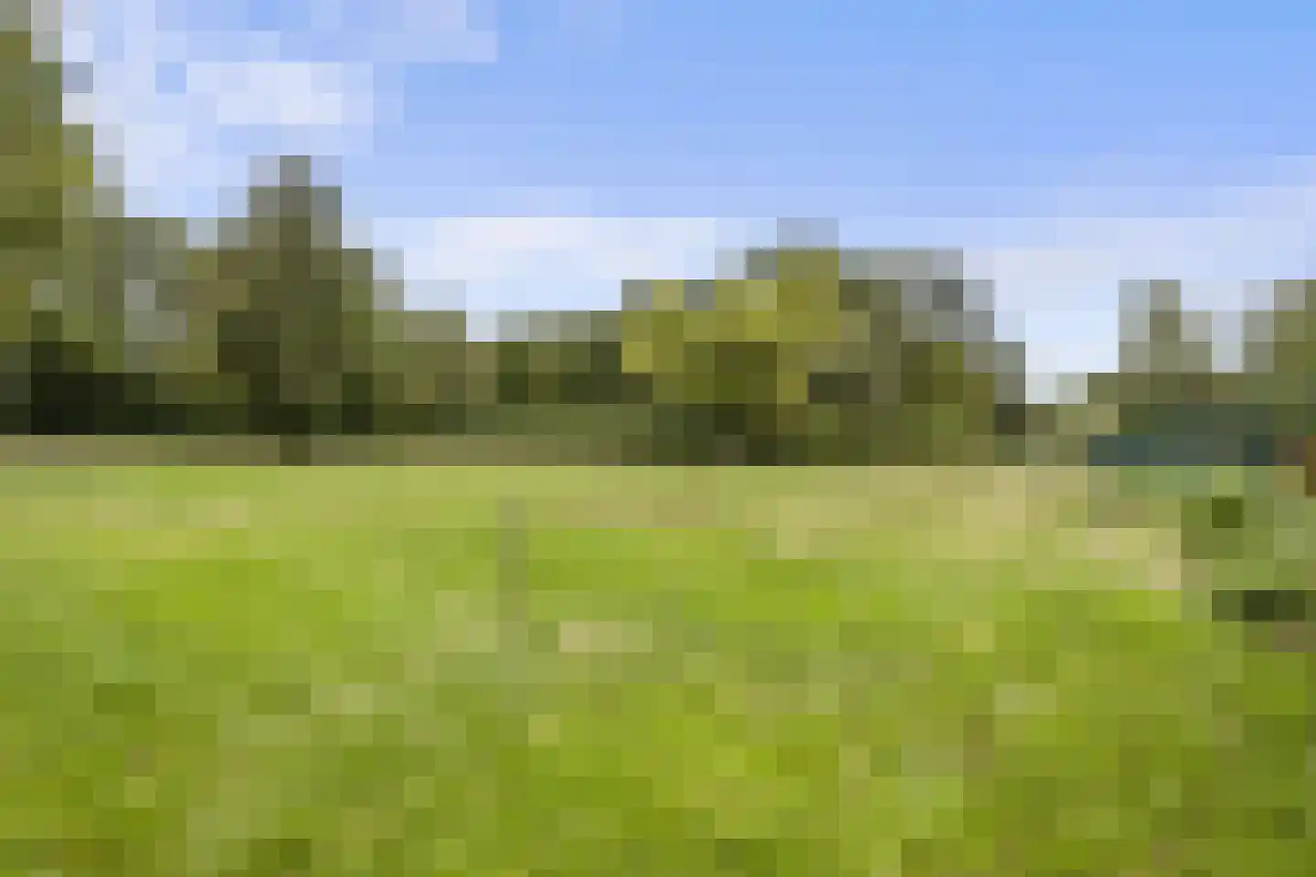 Woeziksestraat 617 Wijchen thumbnail 15