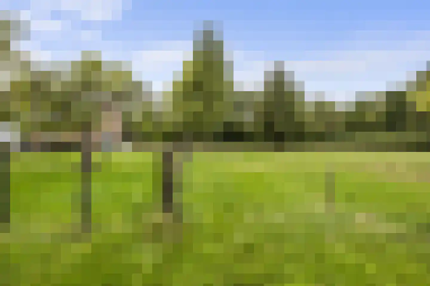 Woeziksestraat 617 Wijchen thumbnail 16