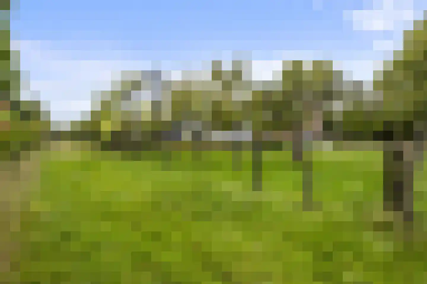 Woeziksestraat 617 Wijchen thumbnail 17