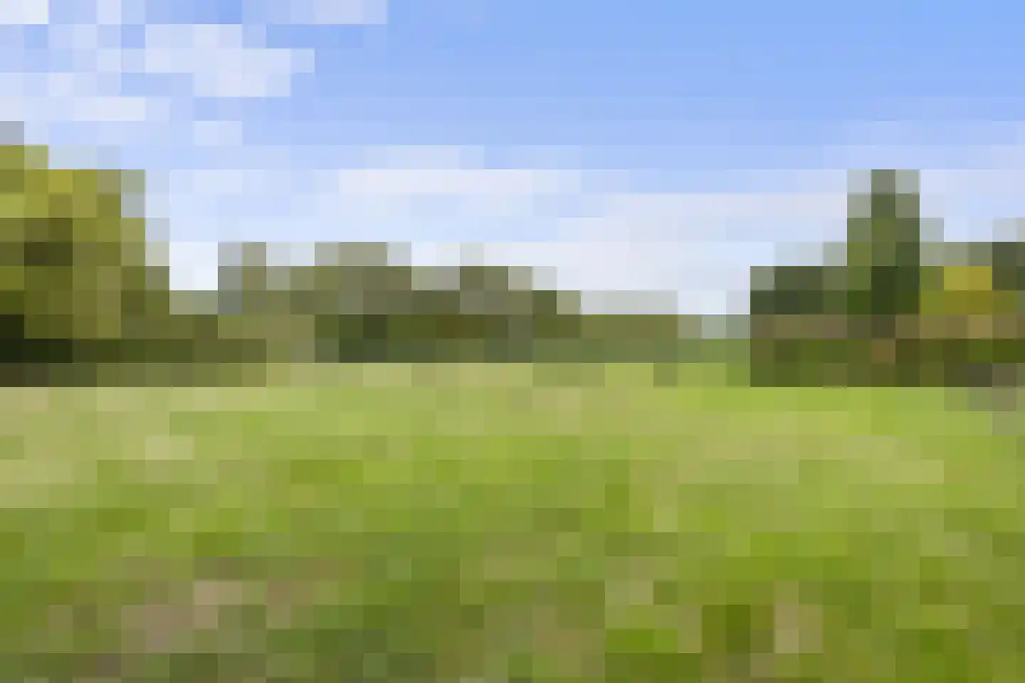 Woeziksestraat 617 Wijchen thumbnail 18