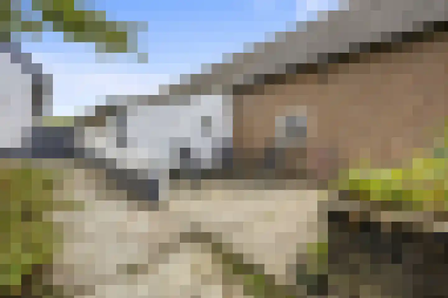 Woeziksestraat 617 Wijchen thumbnail 20