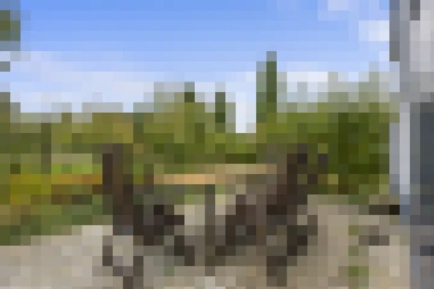 Woeziksestraat 617 Wijchen thumbnail 23