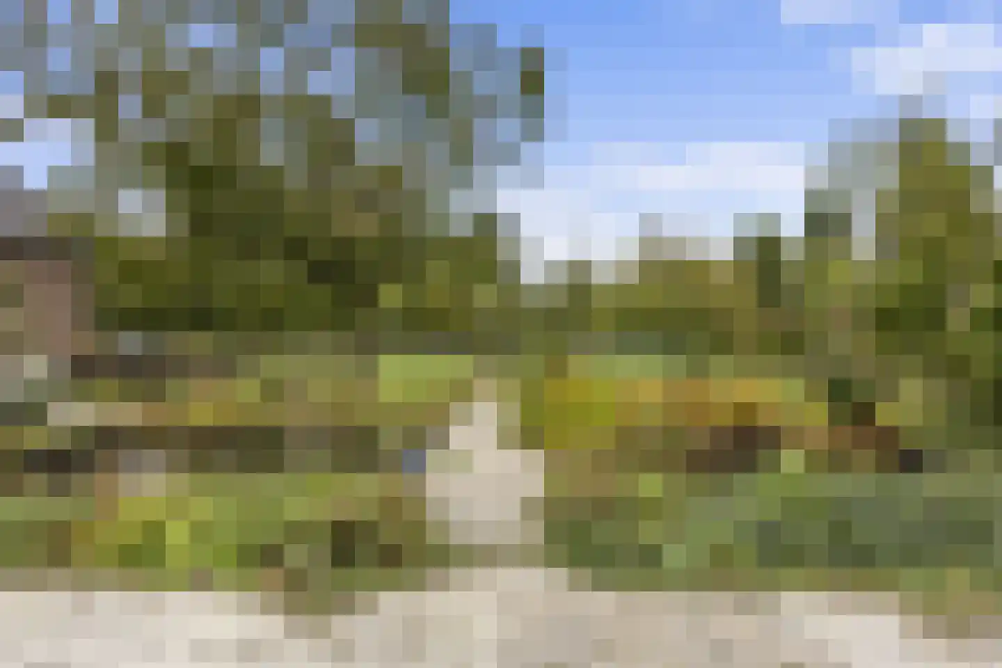 Woeziksestraat 617 Wijchen thumbnail 24