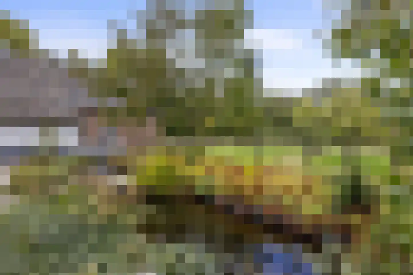 Woeziksestraat 617 Wijchen thumbnail 26