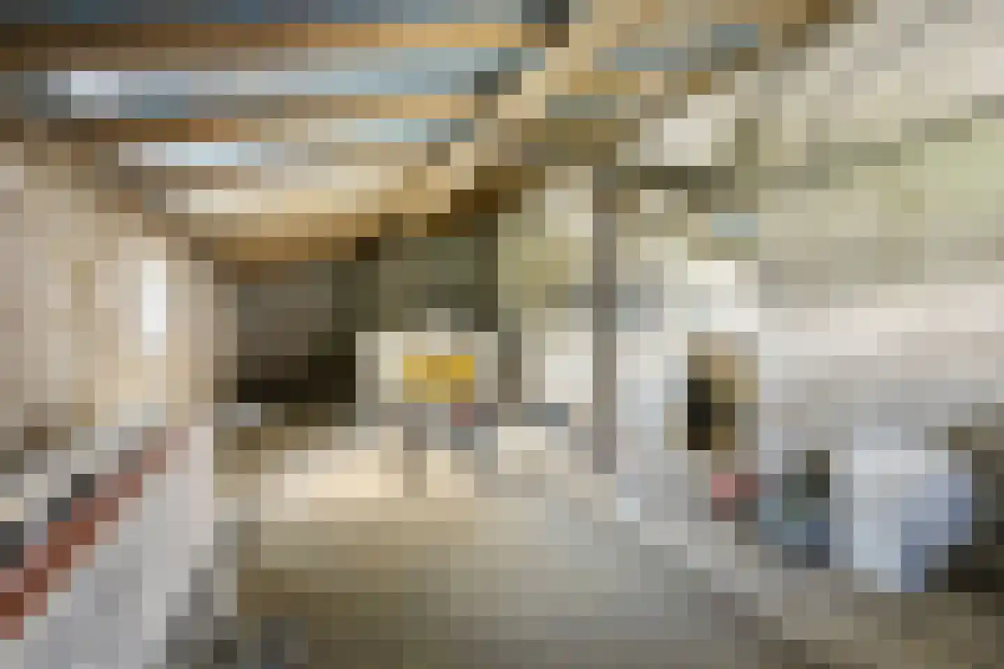 Woeziksestraat 617 Wijchen thumbnail 29