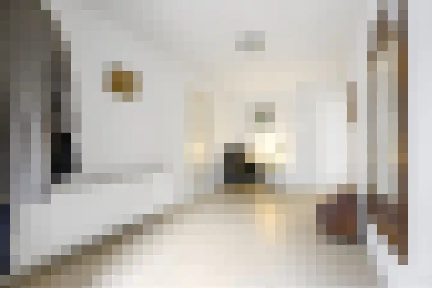 Woeziksestraat 617 Wijchen thumbnail 32