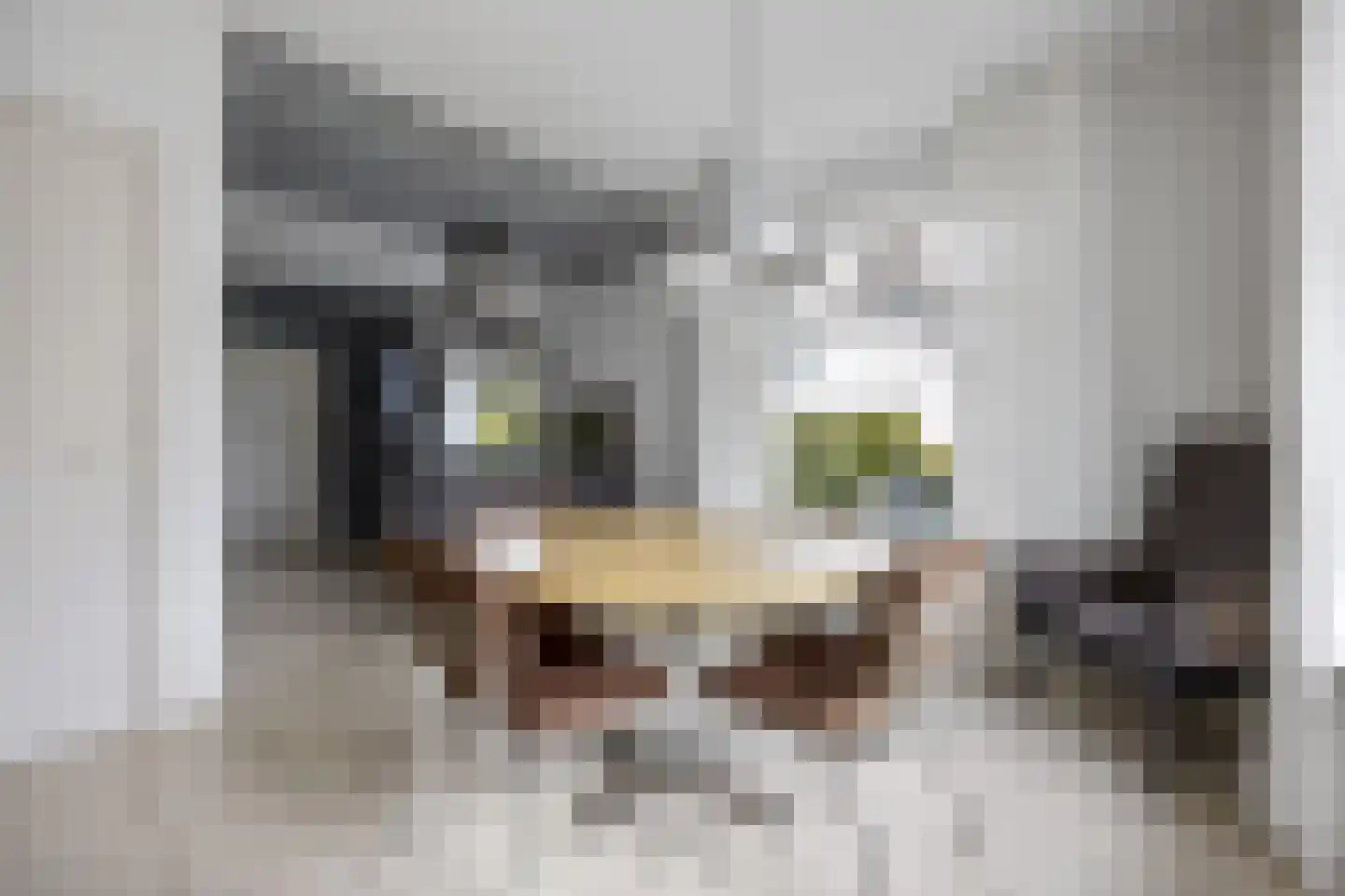 Woeziksestraat 617 Wijchen thumbnail 40