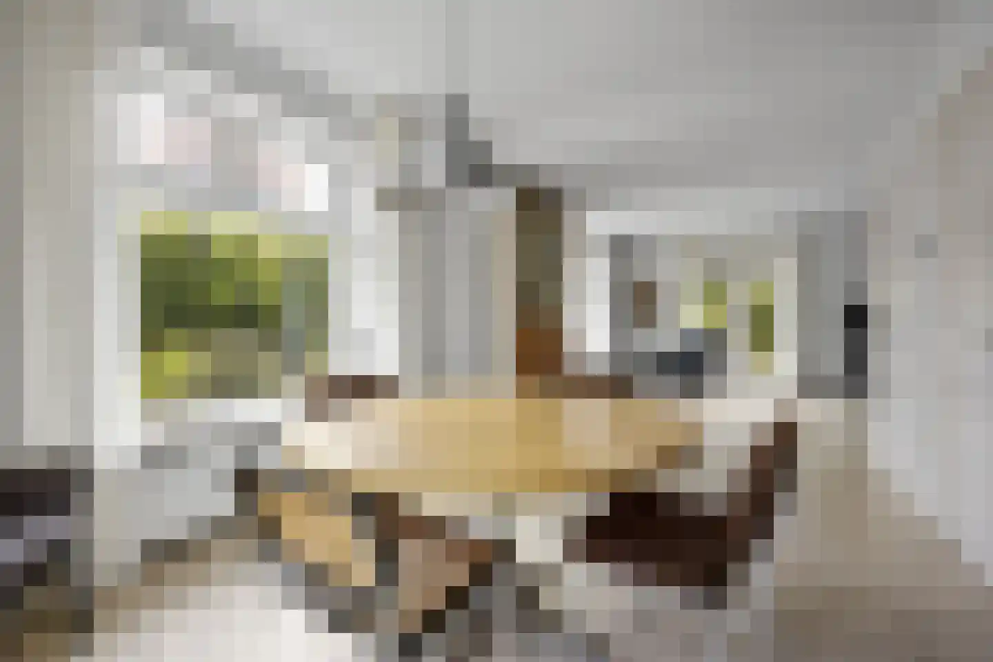 Woeziksestraat 617 Wijchen thumbnail 41