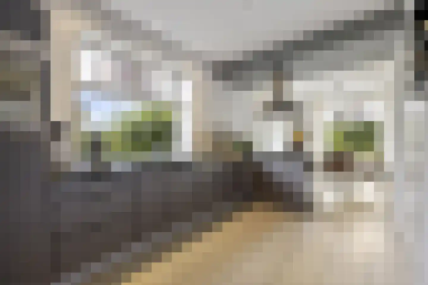 Woeziksestraat 617 Wijchen thumbnail 44