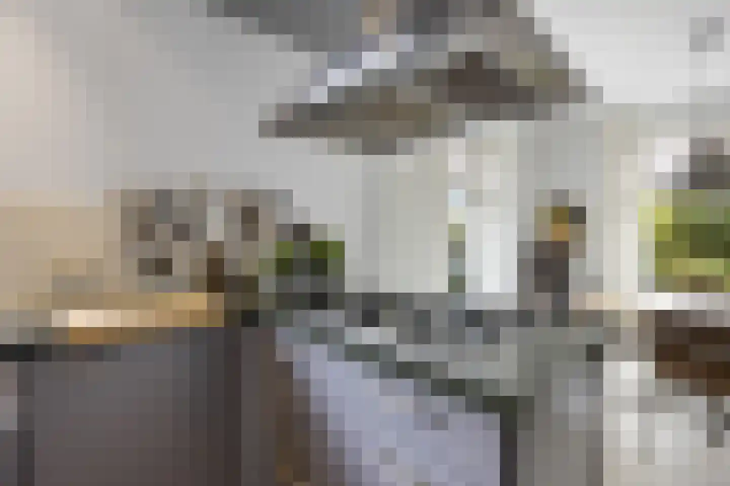 Woeziksestraat 617 Wijchen thumbnail 45
