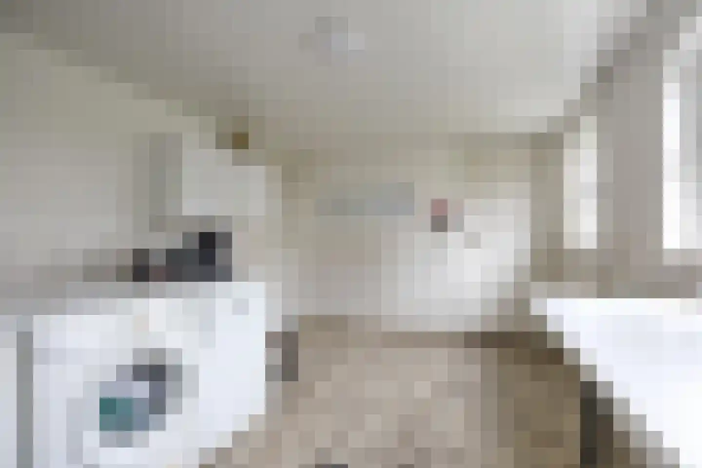 Woeziksestraat 617 Wijchen thumbnail 49