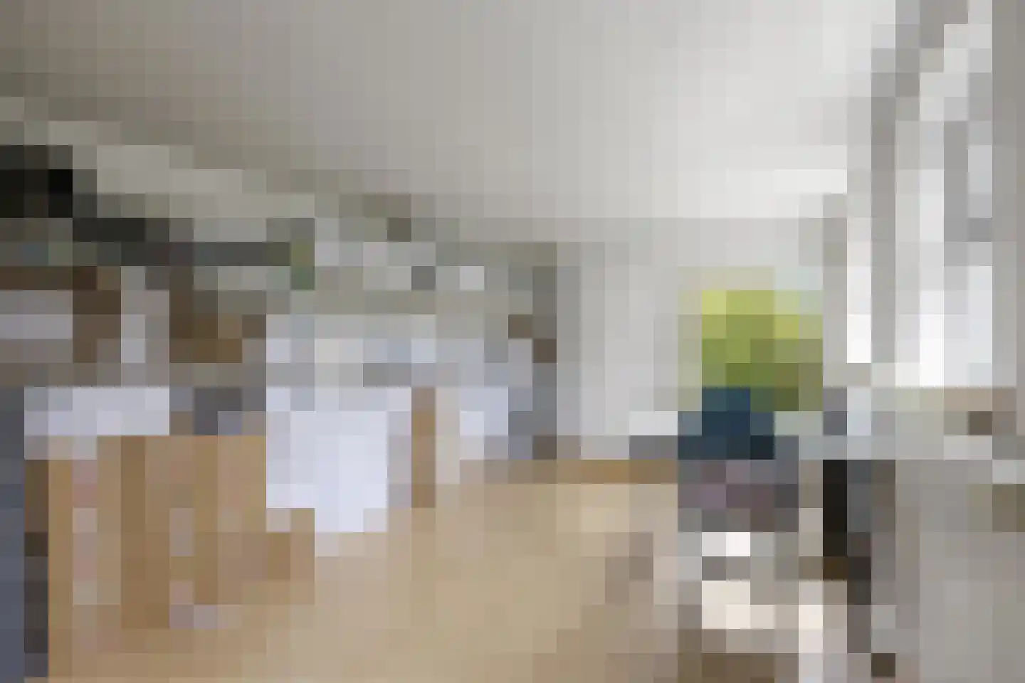 Woeziksestraat 617 Wijchen thumbnail 51