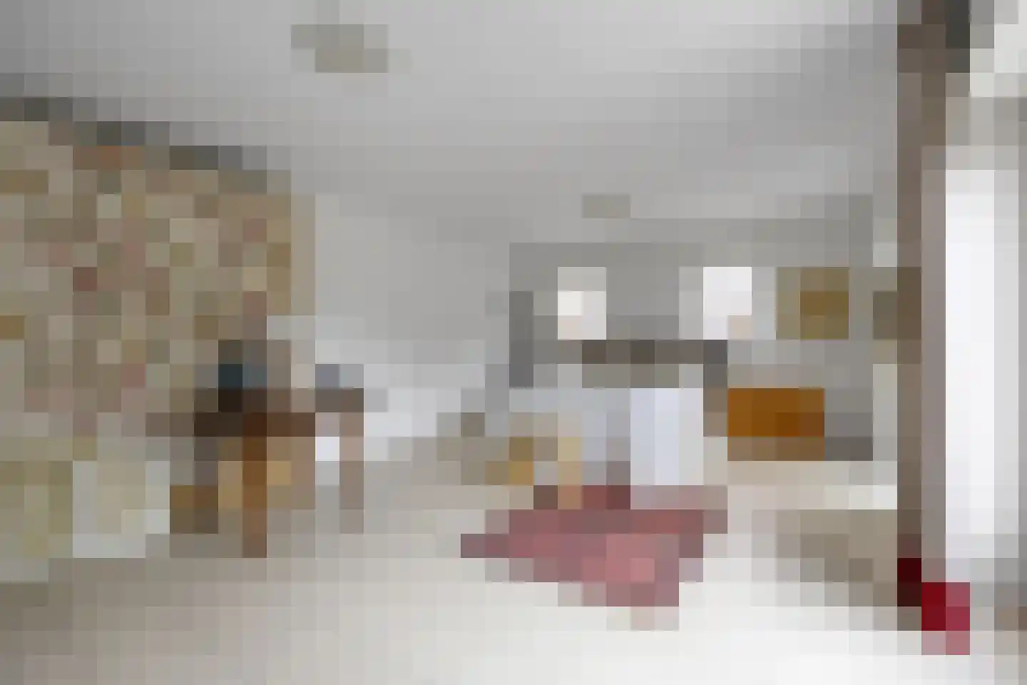 Woeziksestraat 617 Wijchen thumbnail 53