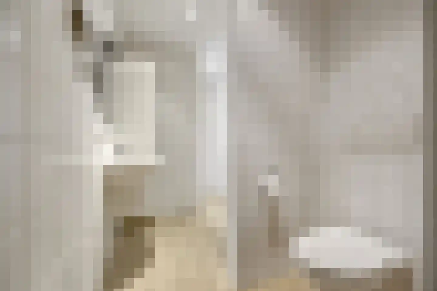 Woeziksestraat 617 Wijchen thumbnail 54