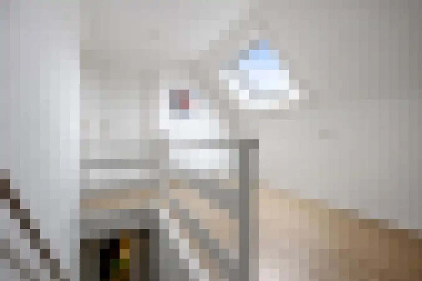 Woeziksestraat 617 Wijchen thumbnail 57