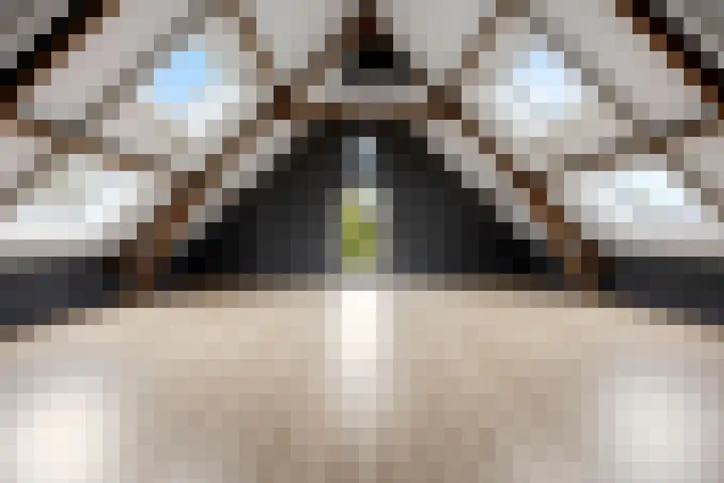 Woeziksestraat 617 Wijchen thumbnail 63