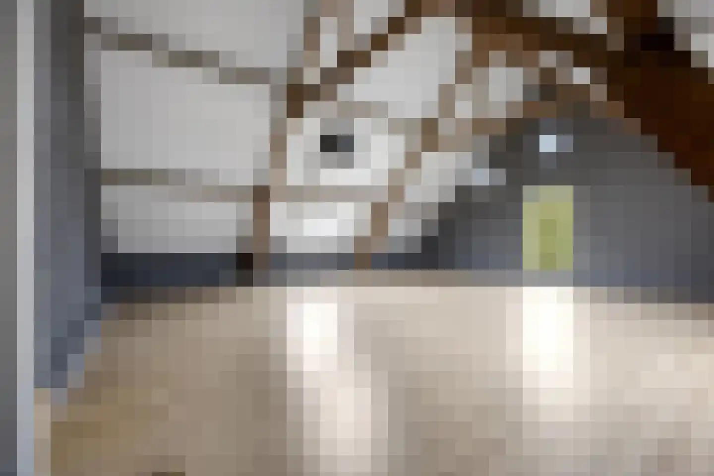 Woeziksestraat 617 Wijchen thumbnail 64