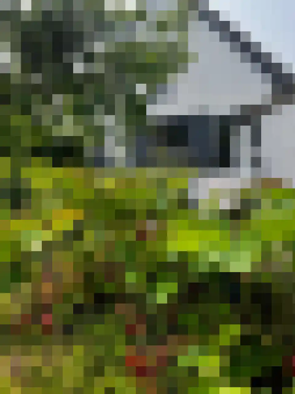 Woeziksestraat 617 Wijchen thumbnail 74