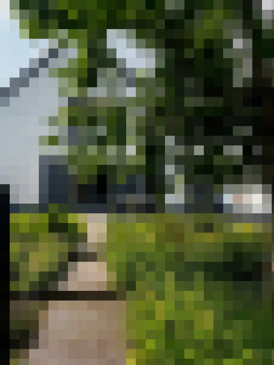 Woeziksestraat 617 Wijchen thumbnail 75