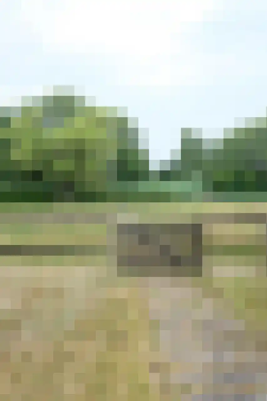 Woeziksestraat 617 Wijchen thumbnail 77