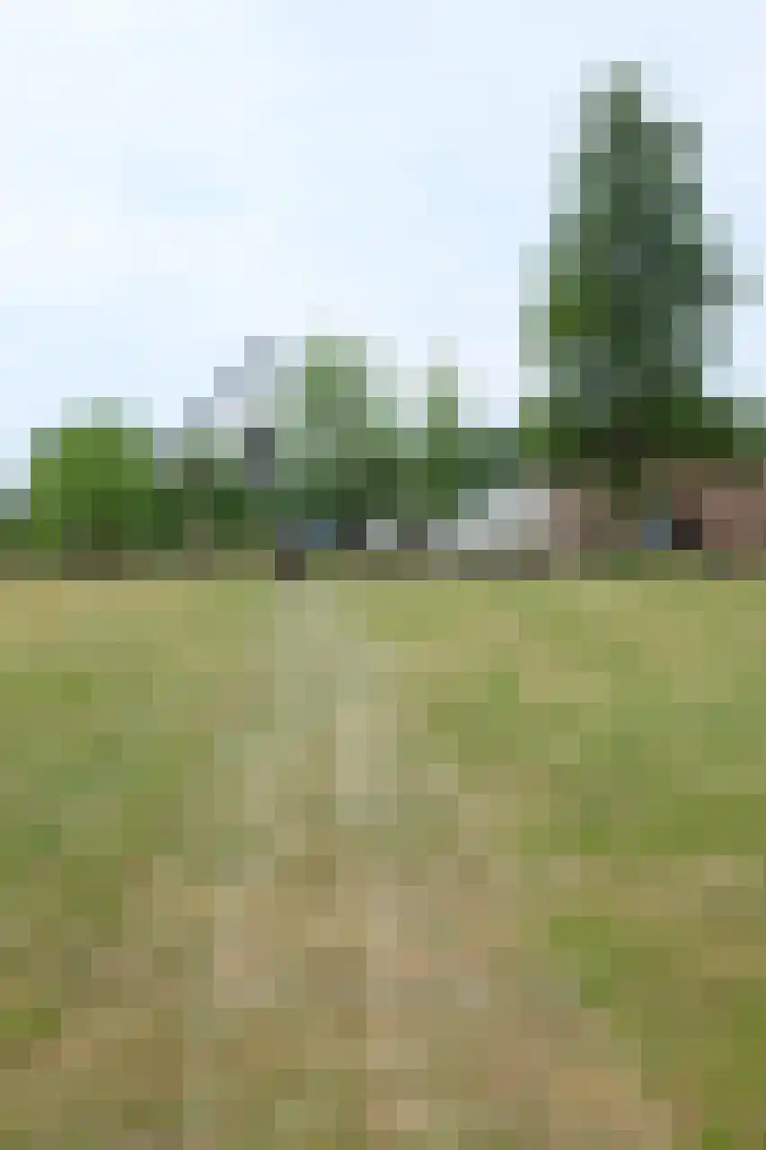 Woeziksestraat 617 Wijchen thumbnail 79