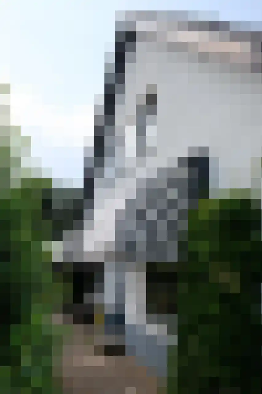 Woeziksestraat 617 Wijchen thumbnail 80