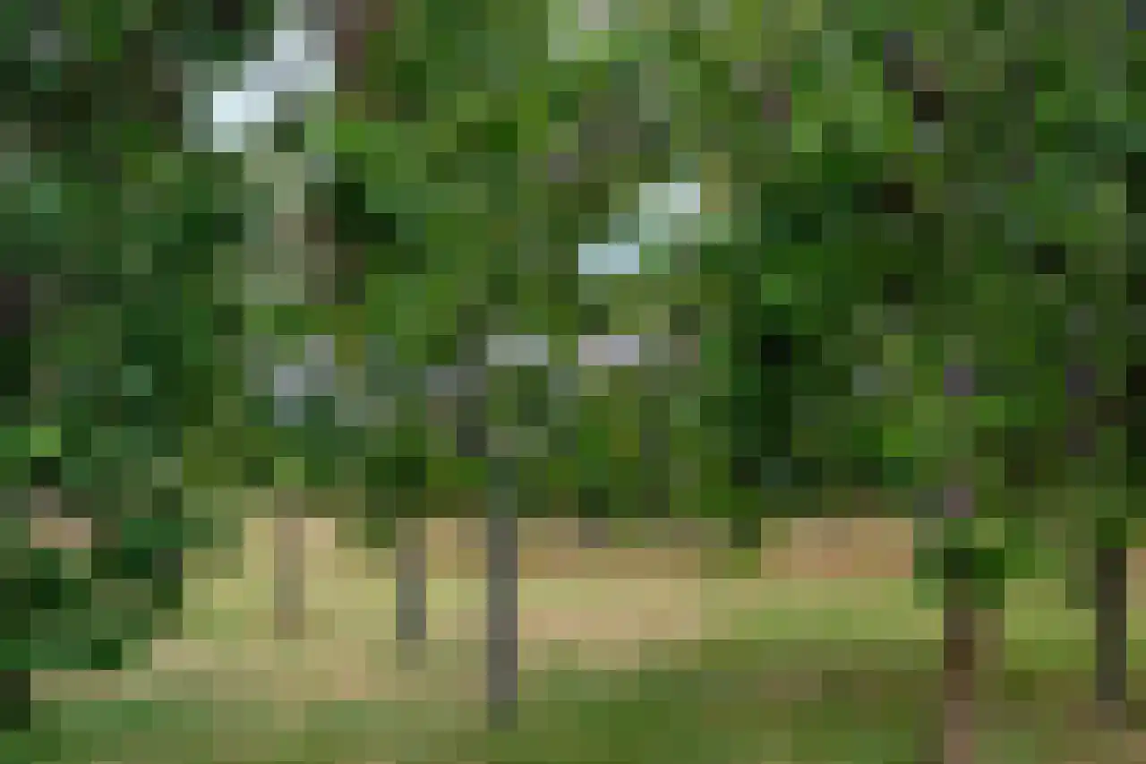 Woeziksestraat 617 Wijchen thumbnail 81