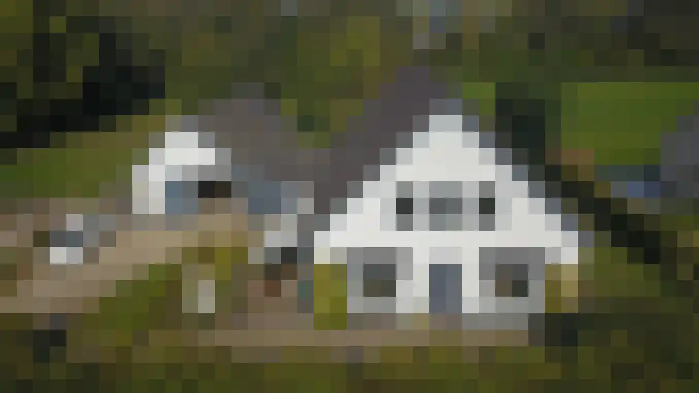 Woeziksestraat 617 Wijchen thumbnail 83