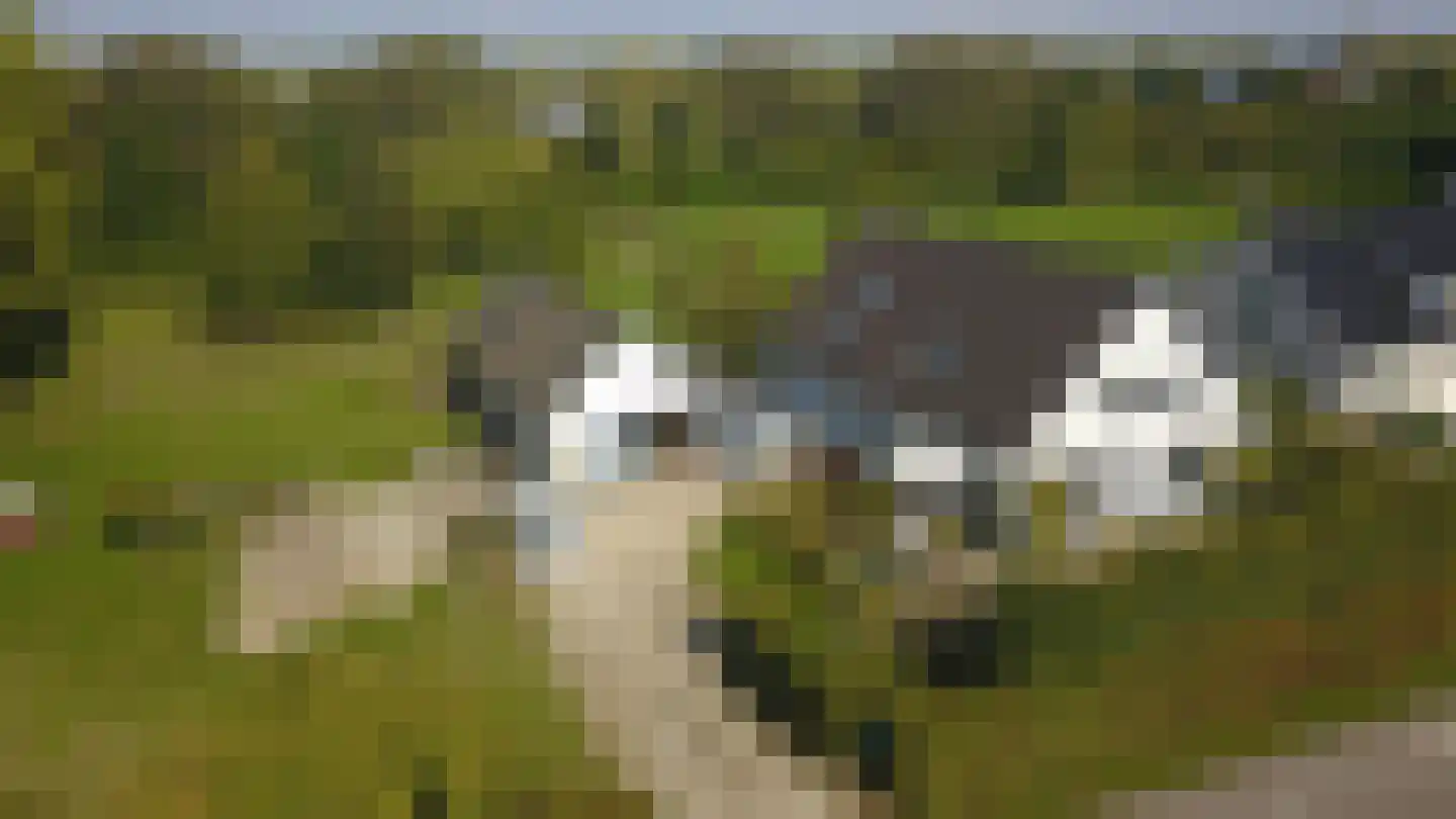 Woeziksestraat 617 Wijchen thumbnail 84