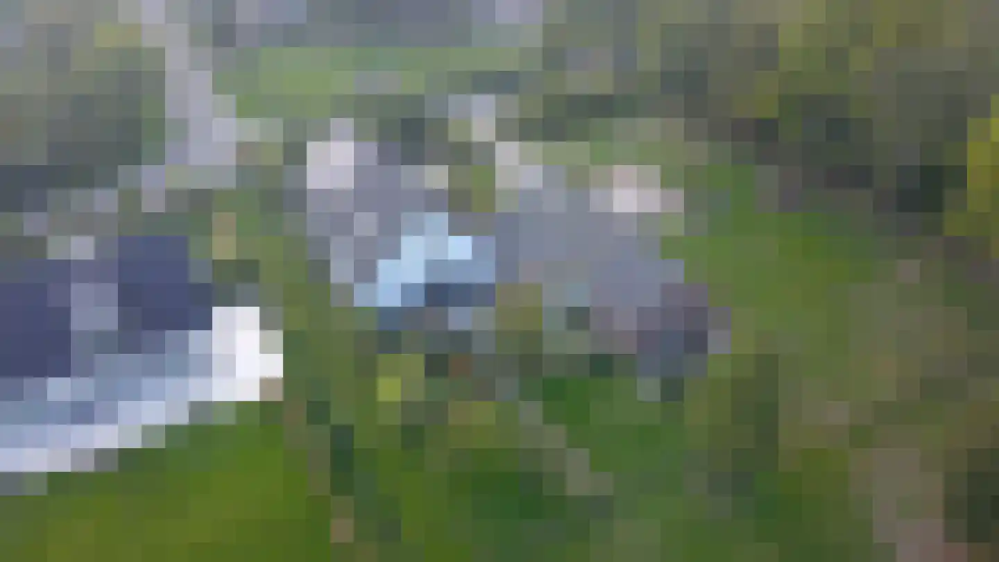 Woeziksestraat 617 Wijchen thumbnail 85
