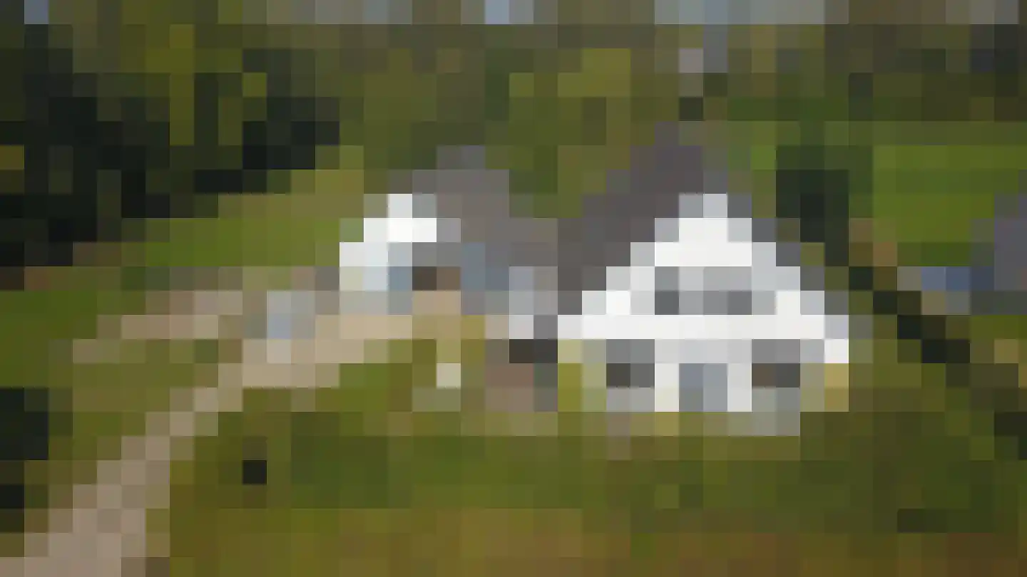 Woeziksestraat 617 Wijchen thumbnail 86