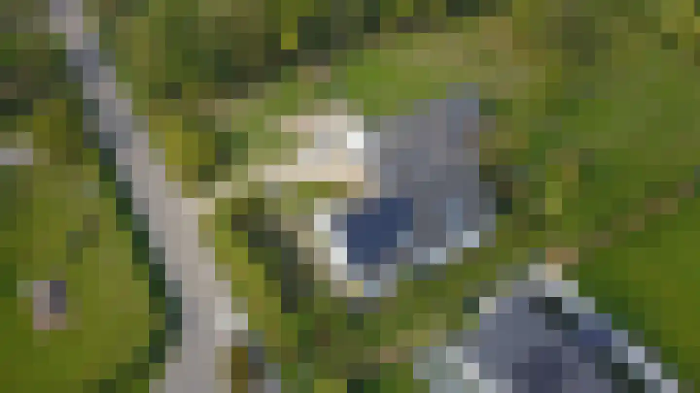Woeziksestraat 617 Wijchen thumbnail 87