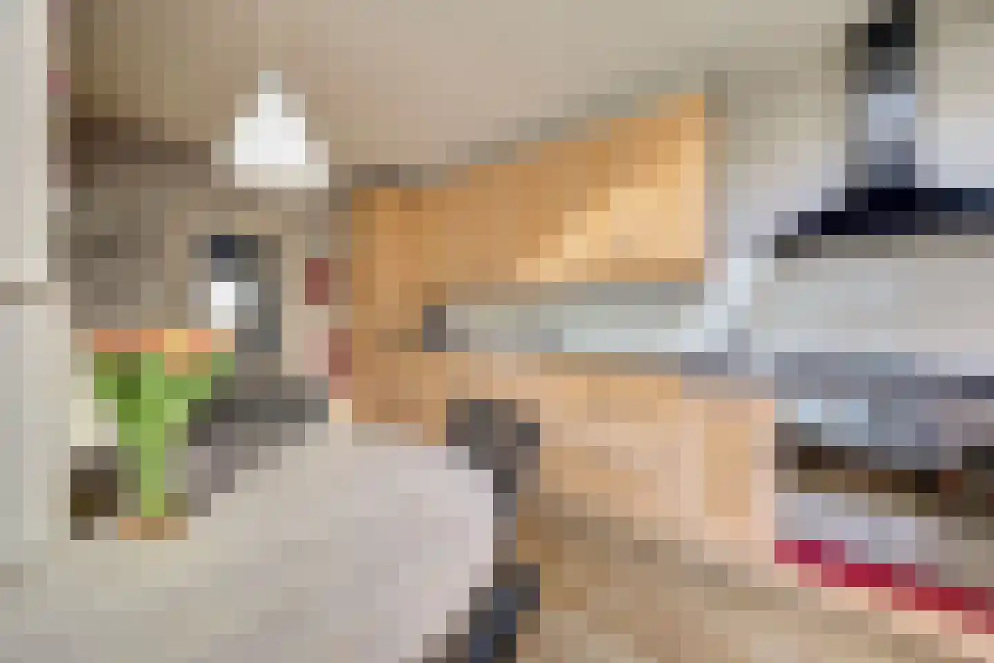 Woeziksestraat 658 Wijchen thumbnail 14