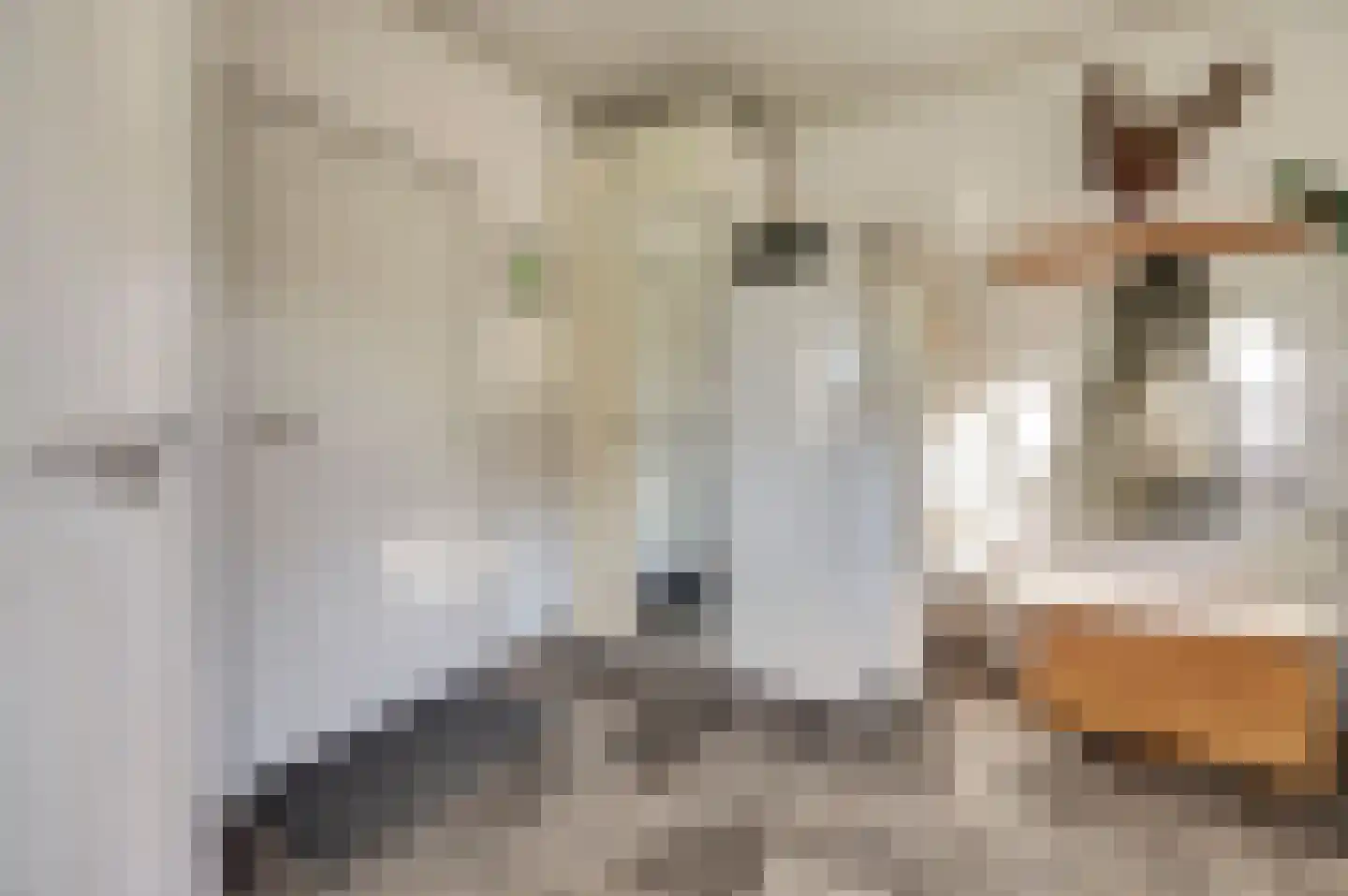 Woeziksestraat 658 Wijchen thumbnail 16