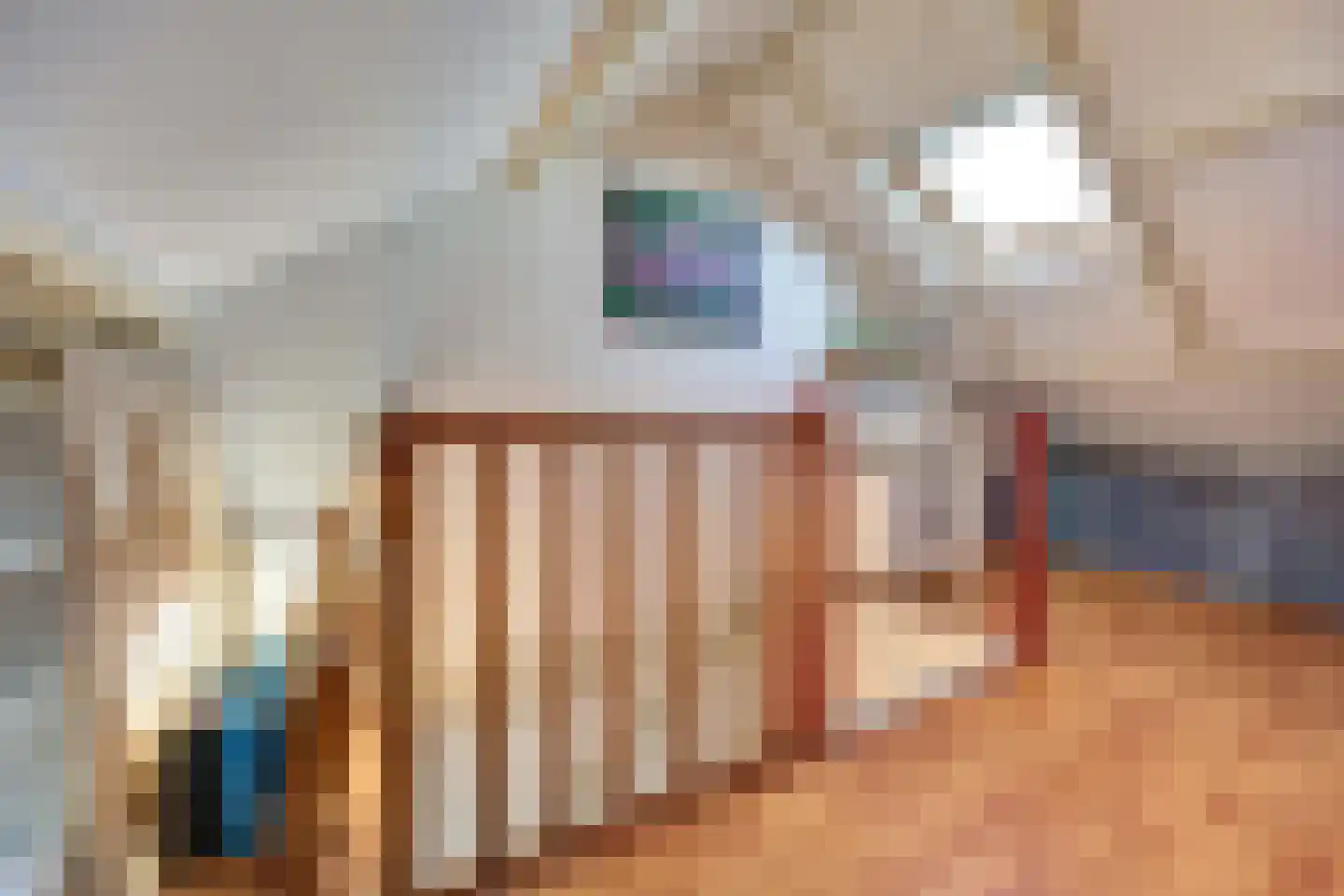 Woeziksestraat 658 Wijchen thumbnail 30