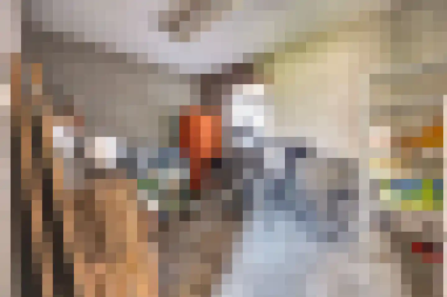 Woeziksestraat 658 Wijchen thumbnail 39