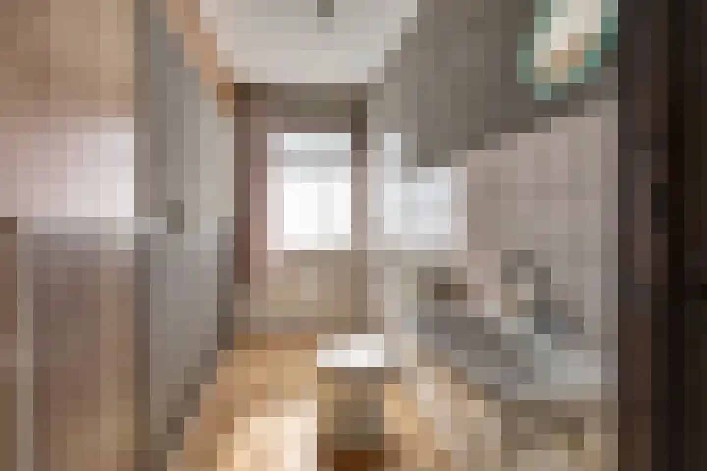 Woeziksestraat 658 Wijchen thumbnail 40