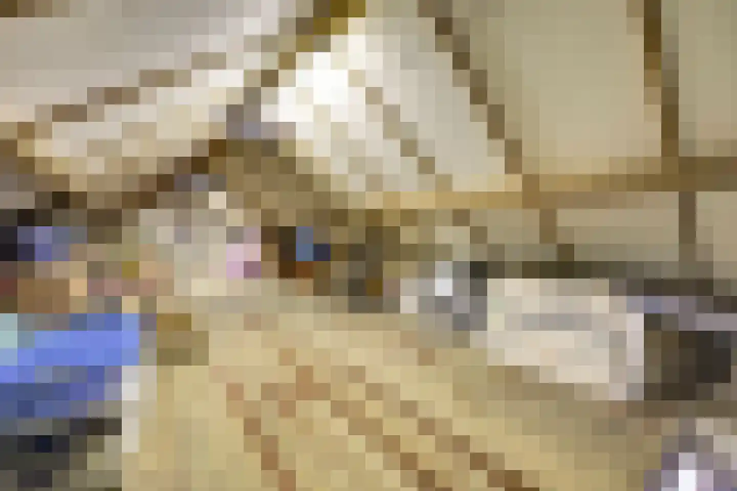Woeziksestraat 658 Wijchen thumbnail 41