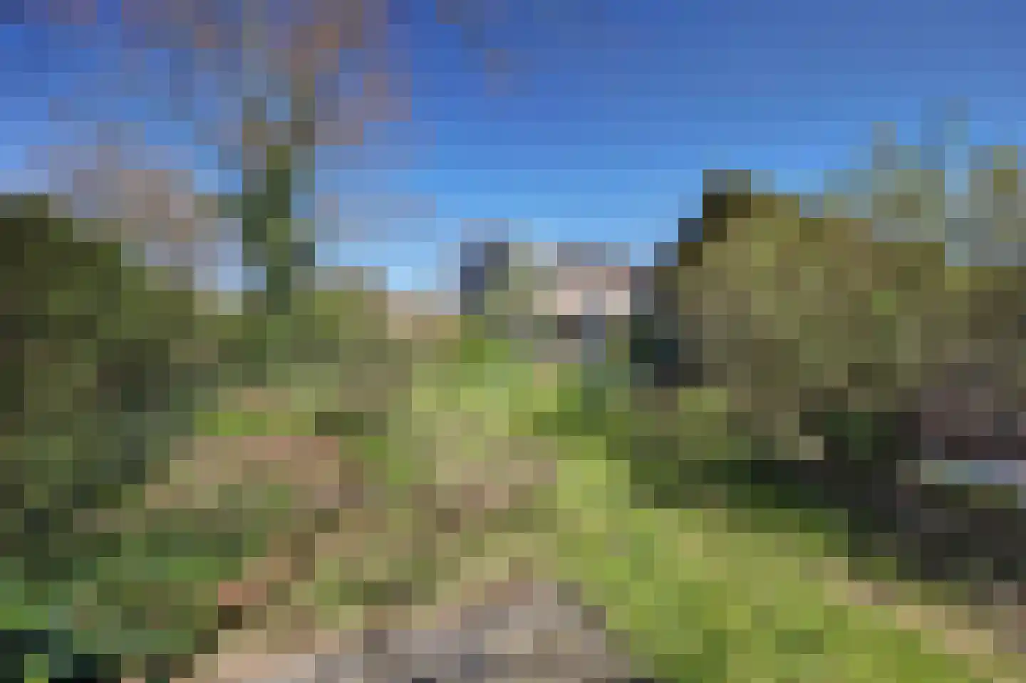 Woeziksestraat 658 Wijchen thumbnail 54