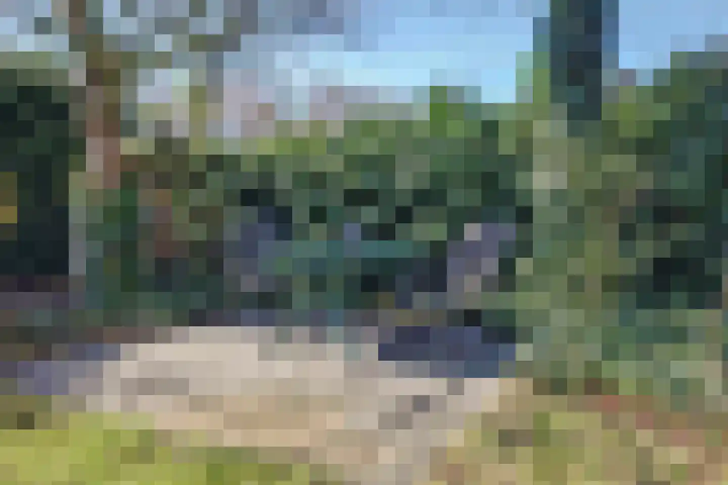 Woeziksestraat 658 Wijchen thumbnail 56