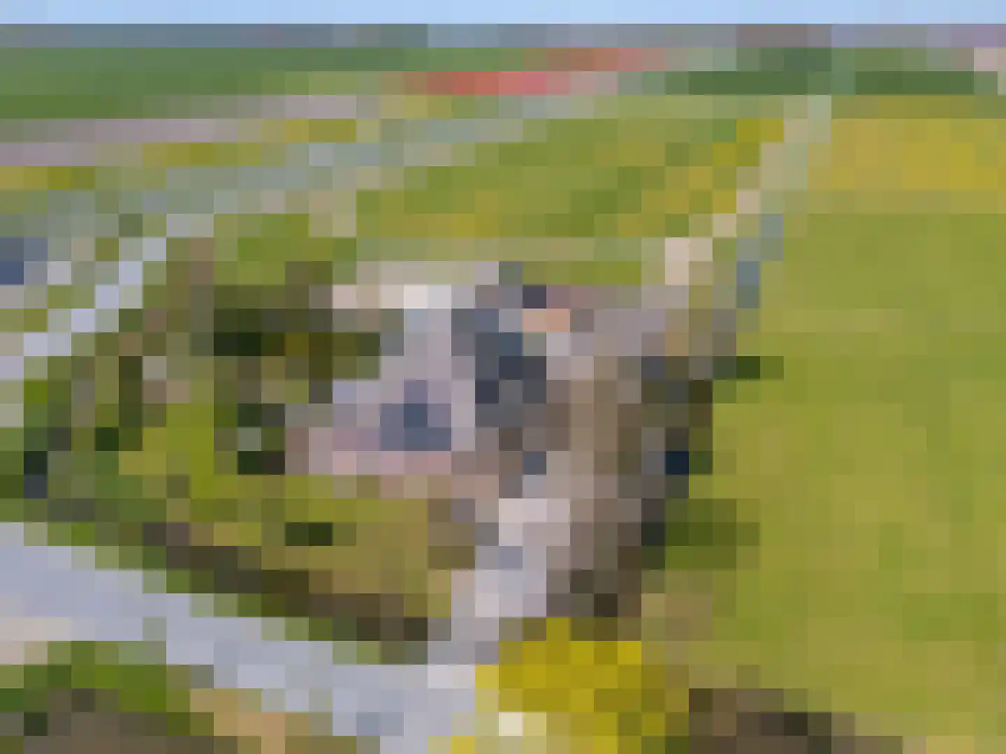 Wogmeer 101 A en Spierdijk