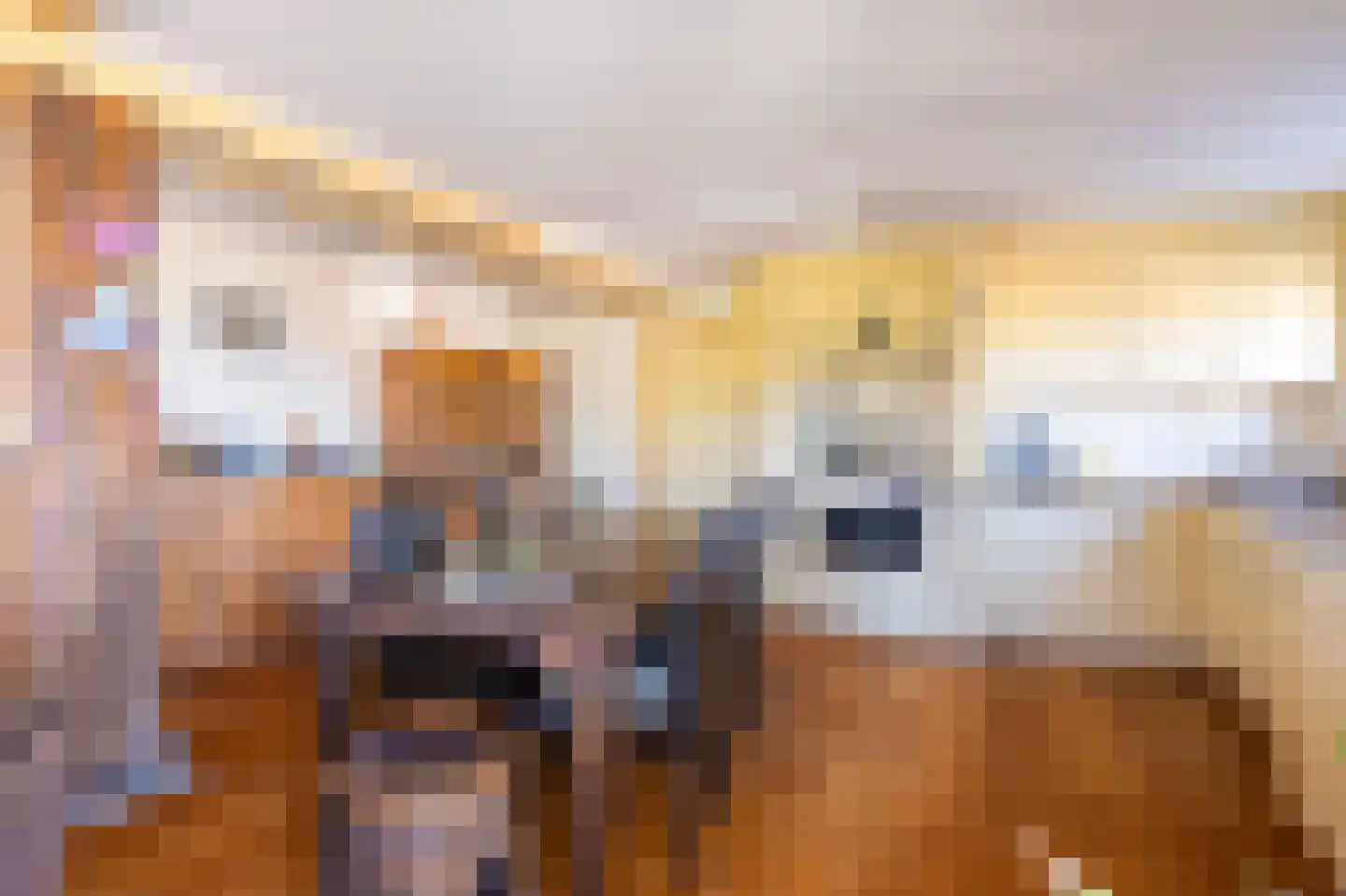 Wogmeer 101 A Spierdijk thumbnail 12