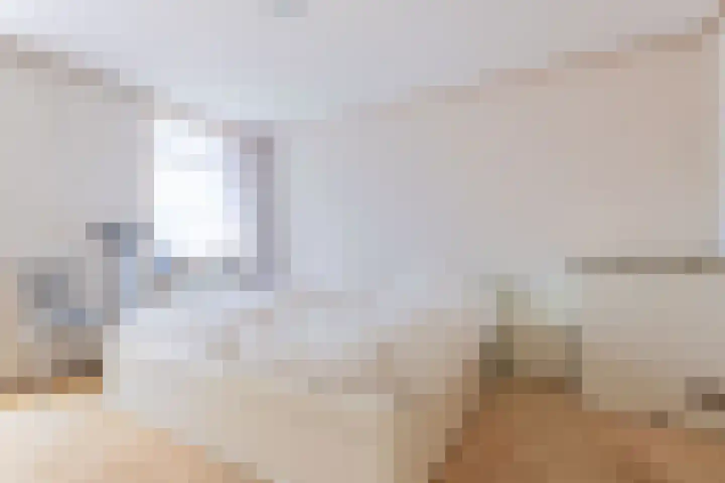 Wogmeer 101 A Spierdijk thumbnail 30